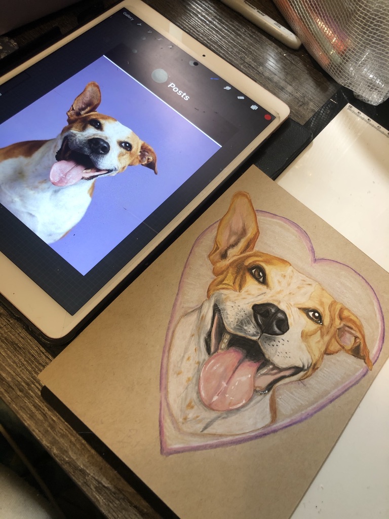 Portrait painting of a Boston Terrier