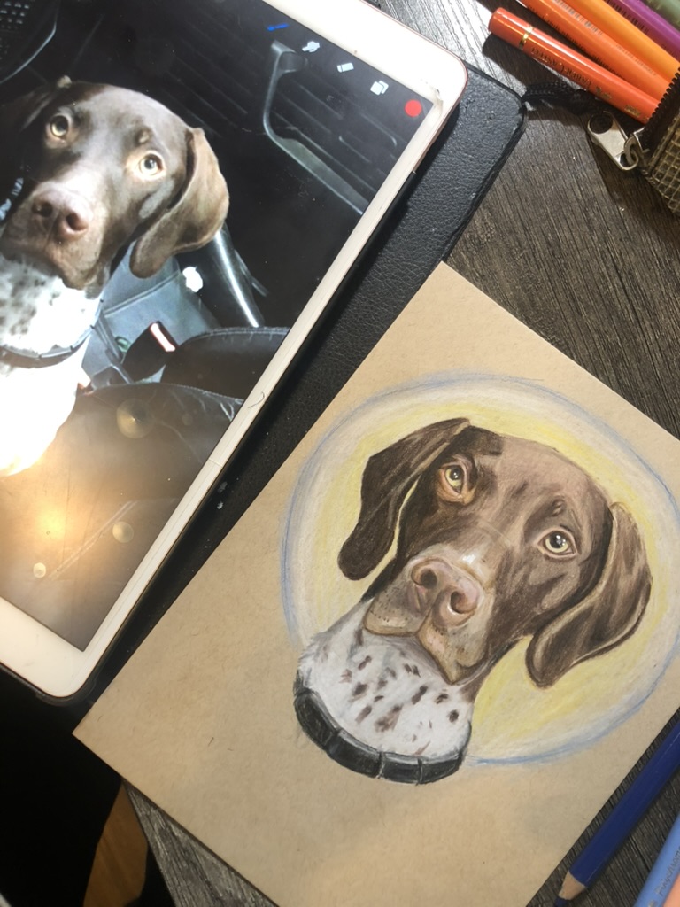 Portrait painting of a pointer dog
